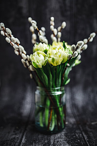 Close-ups of little yellow flowers and catkins in a glass jar thumbnail