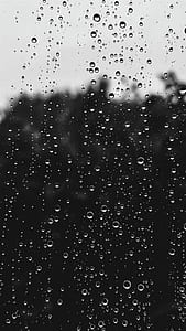 grayscale photography of dew drops on glass window thumbnail