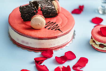 white and pink cake on gray table thumbnail
