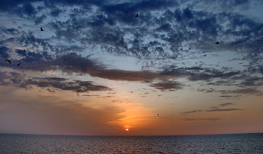 calm ocean water at golden hour thumbnail