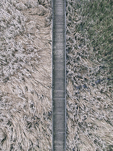 aerial photo of brown wooden hallway near brown withered plants at daytime thumbnail