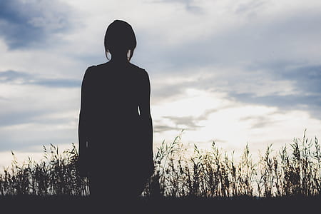 light, dawn, landscape, sky thumbnail