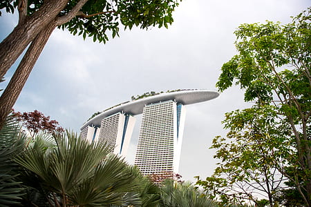 low-angle photography of white building near trees thumbnail