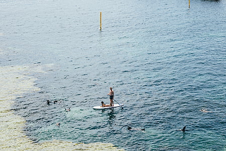man standing on paddleboard thumbnail