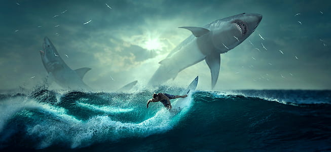 man riding surfboard with shark illustration thumbnail