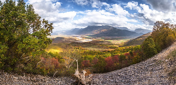 landscape photo of trees and mountains thumbnail