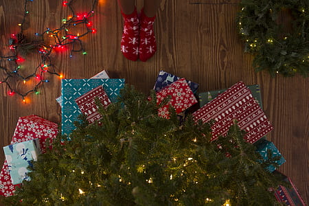 close-up photo of Christmas tree near wall thumbnail