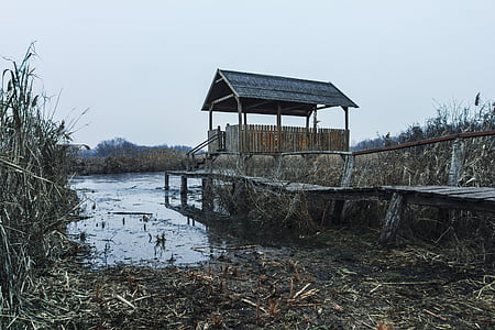 brown wooden shed with dock bridge thumbnail