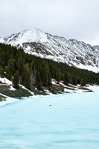 aerial view photography of green forest beside body of water thumbnail