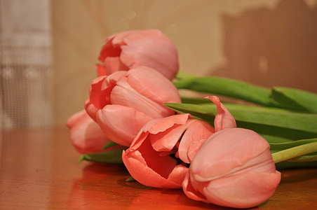 pink tulips on brown wooden surface close up photo thumbnail