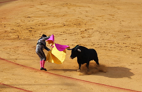 matador performing with black bull during daytime thumbnail