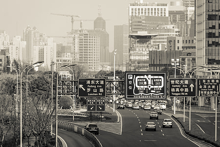 grayscale photo of vehicles in road between buildings thumbnail