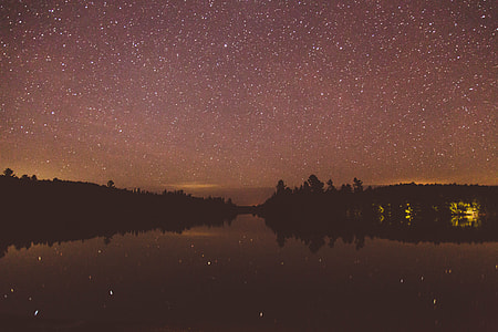 silhouette of trees under starry sky during nighttime thumbnail