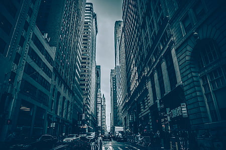 cityscape photography of buildings and cars thumbnail