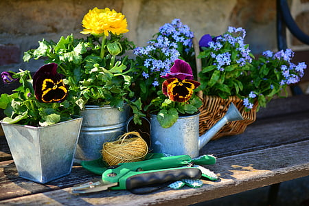 assorted-color flower plants thumbnail