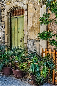 green palm plants near green wooden door thumbnail