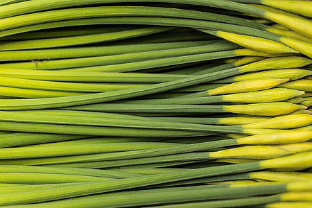 green flower stem lot thumbnail