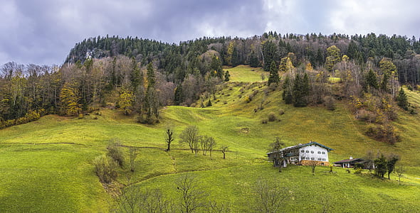 house on mountain near forest at daytime thumbnail