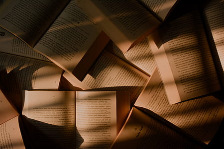 brown books lot thumbnail