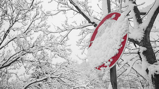 Road Signage Covered With Snow thumbnail