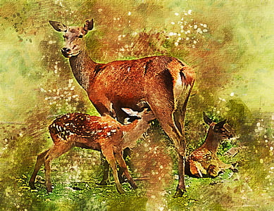 brown deer painting thumbnail