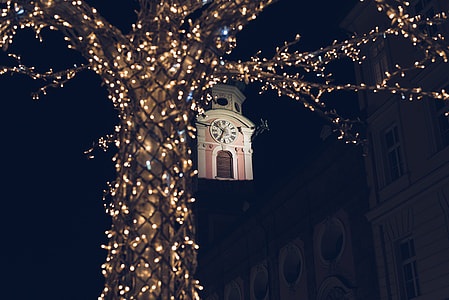 lighted string lights on tree thumbnail