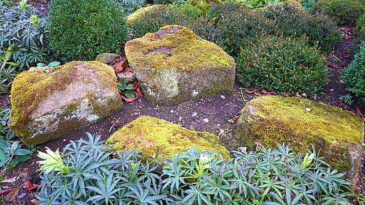 landscape, nature, rocks, garden thumbnail