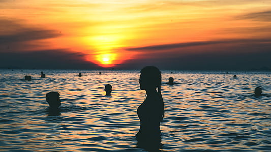 Silhouette Photography of People Swimming on the Beach during Golden Hour thumbnail