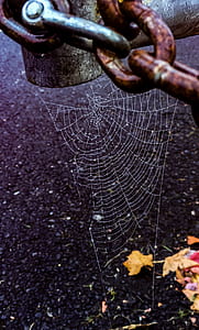 dirty, blur, rustic, chain thumbnail