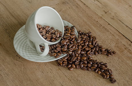 coffee beans on teacup and saucer thumbnail