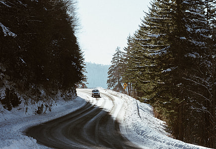 car traveling at the snow cap road surrounded with pine trees during daytime thumbnail