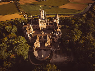 aerial photography of castle surrounded by trees at daytime thumbnail