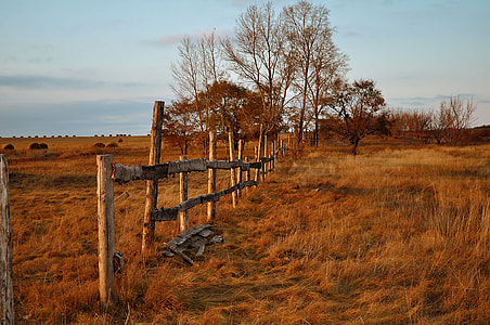 landscape photography of wooden fence during daytime thumbnail
