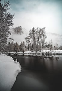 river covered with snow and baretrees thumbnail