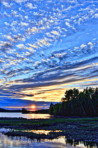 purple and green water lilies surrounded with body of water under cloudy sky thumbnail