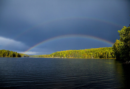 green trees under rainbow thumbnail