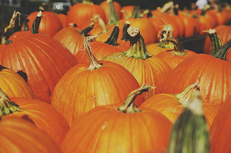 selective focus photography pile of pumpkins thumbnail