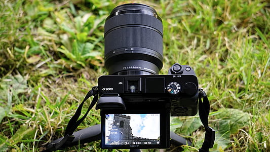 camera, photography, grass, technology thumbnail