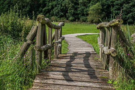 gray wooden bridge thumbnail