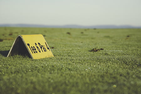 Tee 6 Pai 4 signage thumbnail