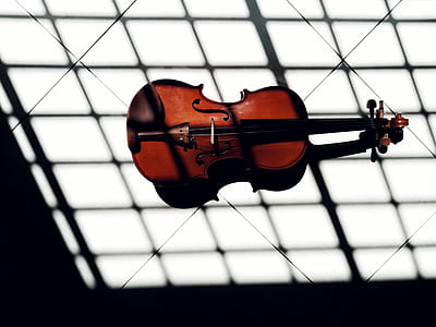 black and brown violin on white floor thumbnail