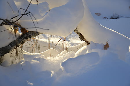 winter, sunbeam, snow, forest, siberia, nature thumbnail