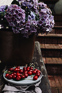 Fresh Cherries on a simple plate thumbnail