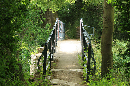 green wooden handrail in forest walk thumbnail