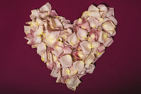 Rose Petal Heart Photo thumbnail