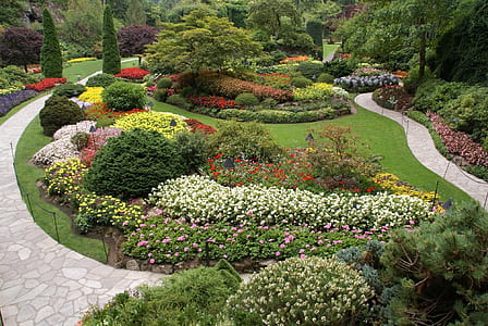 flower garden near trees during daytime thumbnail