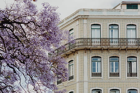 Lisbon Architecture, Portugal thumbnail