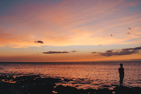 silhouette of man standing on rock beside sea under golden hour thumbnail