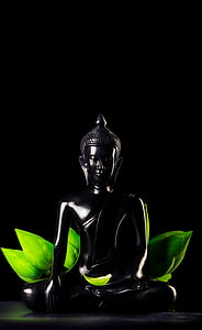 black Buddha figurine and green lotus leaf thumbnail