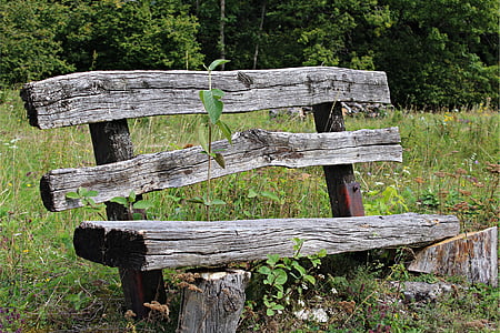 brown and gray wooden bench surrounded by green grass during daytime thumbnail